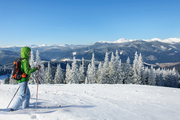 woman in outdoors clothes is riding on wooden skis in beautiful snowy pine forest