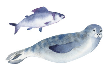 Watercolor illustration. A gray seal and fish. Splashes sketch of wild ocean north animals