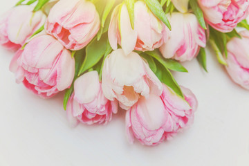 Spring greeting card. Bouquet of fresh light pastel pink tulips flowers on white wooden background. Happy holiday easter mother day anniversary valentine birthday concept. Flat lay top view copy space