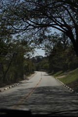 road in the forest