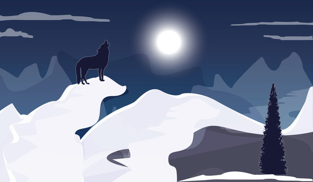Wolf howls at the moon - night, mountains, snow, spruce - illustration vector