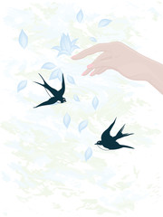 Female elegant hand scatters flower petals, two swallows - blue abstract background - vector