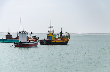 Fototapeta premium fishing boat in the sea