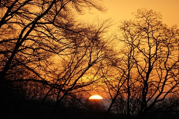 oranger Sonnenuntergang