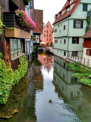 Naklejka premium View of traditional houses along a canal at Fischerviertel (Ulm's old fishers' and tanners' quarter), Ulm, Germany