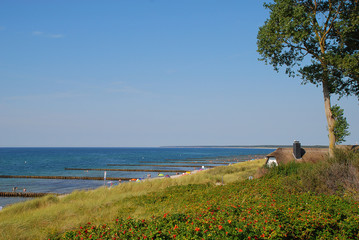 Coastal landscape with a typical thatched building at Baltic Sea coast on sunny summer day, Ahrenshoop, Darss, Germany.