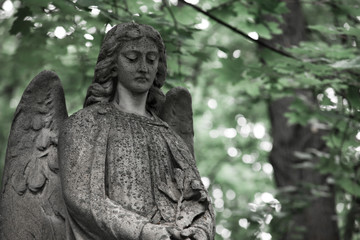 Fototapeta na wymiar The Sorrowful Angel.The face of a grieving angel woman, space for text