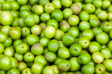 野菜　健康　バナナ　メロン　人参　ニンニク　インゲン　オクラ