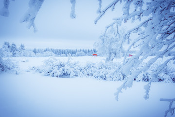 Fototapeta na wymiar Snowy landscape from Sotkamo, Finland.