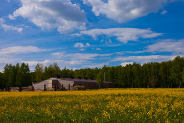 Naklejka na ściany i meble Yellow, covered with flowers, farm in the background