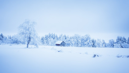 Snowy landscape from Sotkamo, Finland.