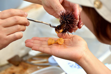呼子朝市　ウニの試食