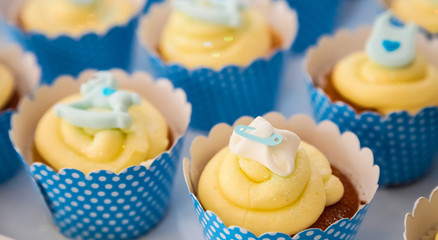 Small Fairy Cupcakes on display for catering