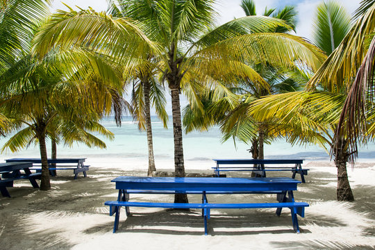 Cribbean Beach with bench
