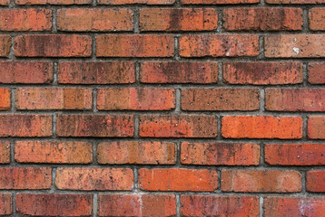 Obraz premium 古い煉瓦の壁