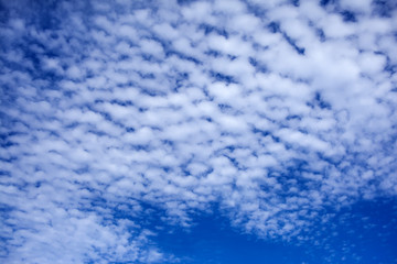 Fototapeta na wymiar Blue sky background with a tiny clouds. Sunny day