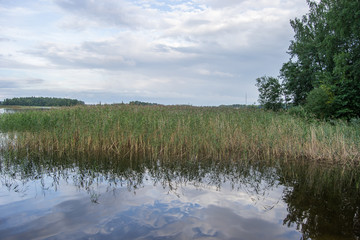 Landscape of Kuopio nature at cloudy day summer