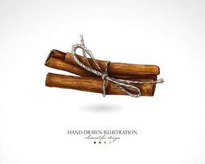 Illustration of cinnamon sticks drawn by hand on a white background. Bound cinnamon painted with colored markers like watercolor.