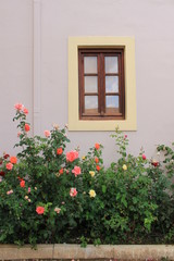 Fototapeta na wymiar Window in roses