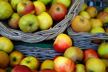 Naklejka na ściany i meble Fresh red and yellow apples at a farmers market