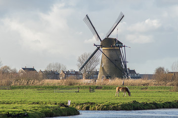 Windmill landscape at Kinderdijk near Rotterdam The Netherlands