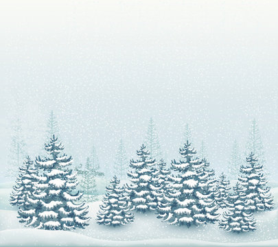 Forest winter landscape vector illustration