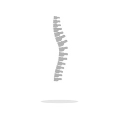 Grey spine icons. Web icon. Healthcare medical style. Vector illustration.