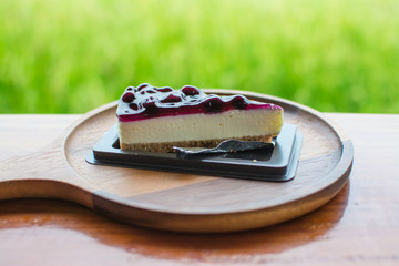 Blueberry cake on a wooden background