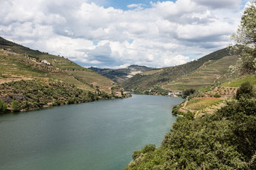 Fototapeta premium Douro Valley in Portugal