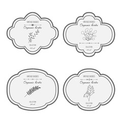 Collection of vintage black and white labels. Set of vector retro packaging design templates for herbs and spices etc