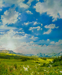 Summer time mountain nature landscape in Switzerland. Flowers at foreground. Beautiful sky above