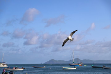 St. Vincent and the Grenadines, Bequia view form Calliaqua