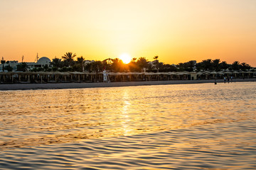 Fototapeta premium Sunset over the red sea palm tree silhuettes hotel in Makadi Bay Egypt