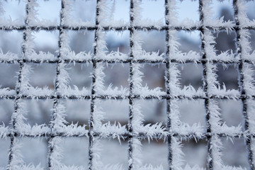 Zaun im Winter mit Raureif, Frost, Eiskristalle, Eis, Schnee im kalten Winter als close up