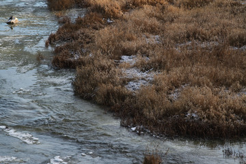 Beautiful view of water flowing through widest waterfall in Europe.