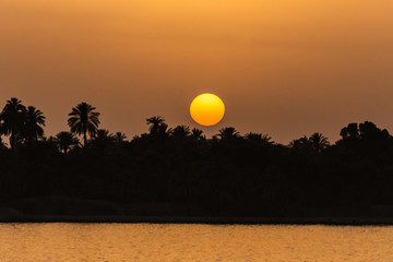 Obraz premium Egypt Nile river view at sunset with tropical palm tree silhouette and distant colorful sun going down