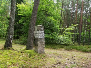 Kamień graniczny w lesie, drogowskaz: Sominy, Lendy, Dywan - Kaszuby, Polska © Ewa