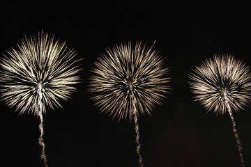 Fireworks blowing in the sky.