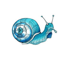 stylized blue turquoise snail isolated on white background