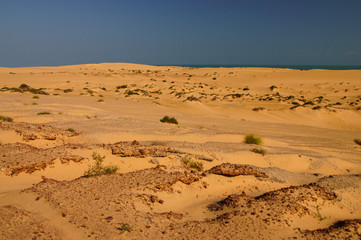 Fototapeta na wymiar A flat sandy desert. Oman