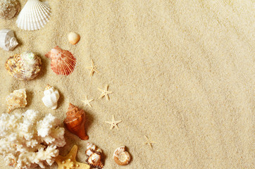 Fototapeta na wymiar Sea shells with sand as background. Summer beach.
