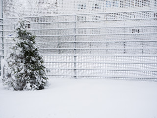 Fence covered with snow. Snow-covered lattice.
