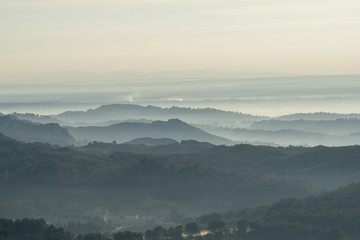 Morgennebel in der Camargue