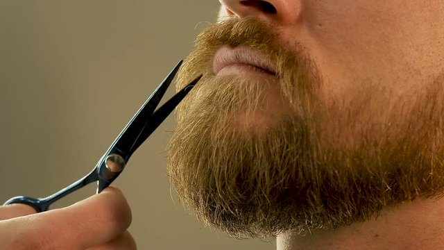 Close-up of a beard and a man's mustache combed rosace and neatly trimmed with scissors, beauty salon for men
