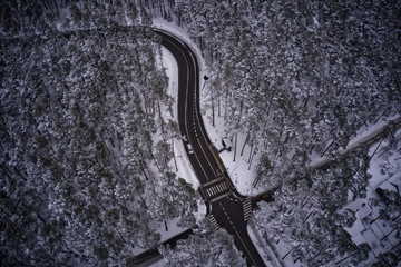 Crossroads in the forest, Lithuania