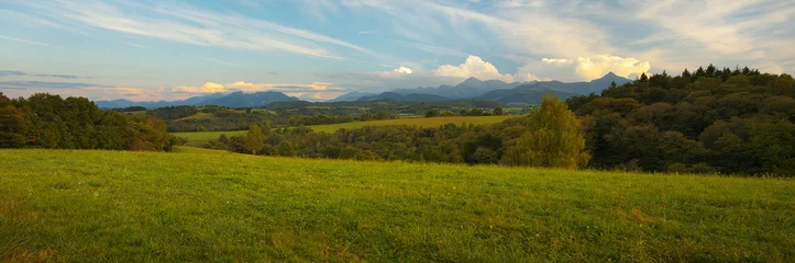 Vlies Fototapete Bereich Panoramic view of Pyrenees with a green meadow on foreground at a sunset time