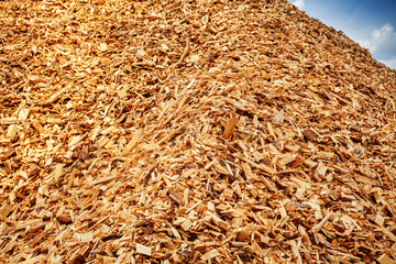 heap of wood chips