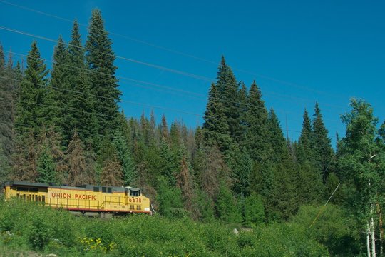 Union Pacific Train