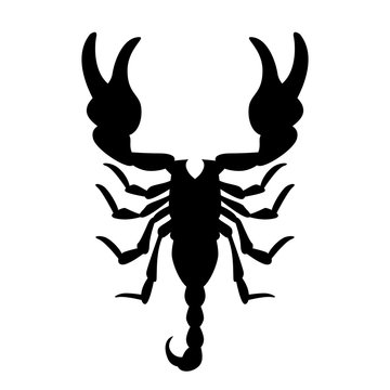 Scorpio vector illustration, black silhouette 
