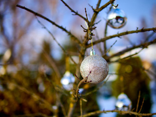 Christmas golden ball and tree branch. Christmas decorations.